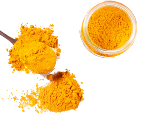 Turmeric Extract
