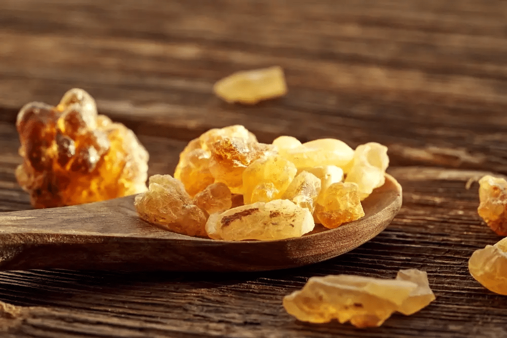 Boswellia Serrata resin and extract