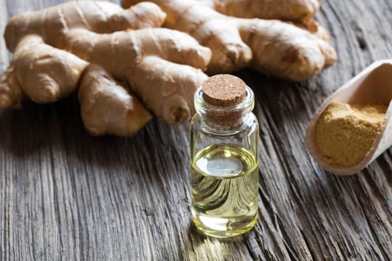Fresh ginger root and extract